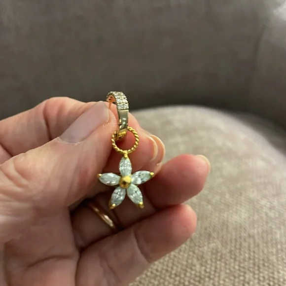 Five pairs of earring charms for hoop earrings - Picture 11 of 13